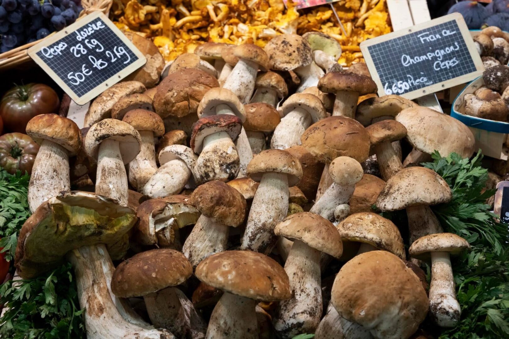 Assorted Mushrooms